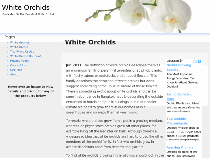 www.whiteorchids.org