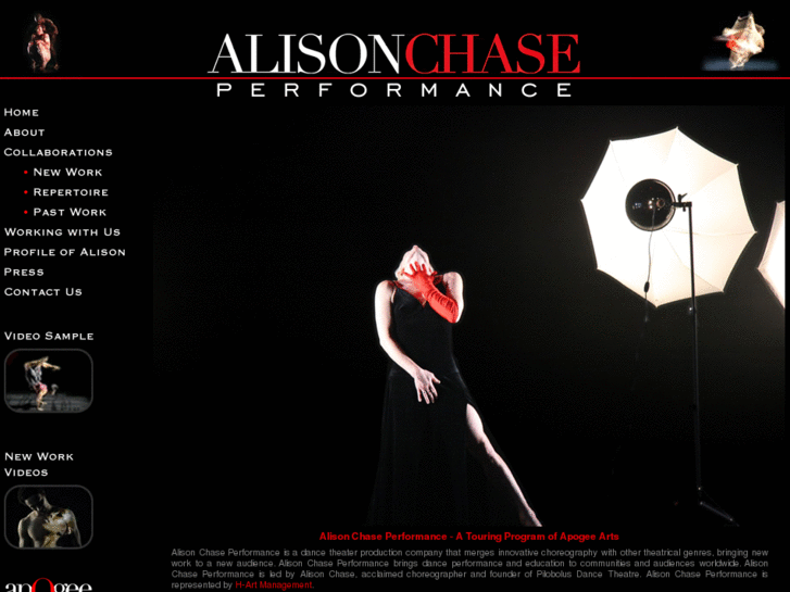 www.alisonchase.com