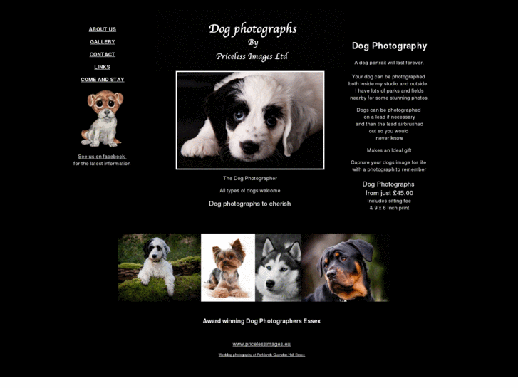 www.dogphotographs.co.uk