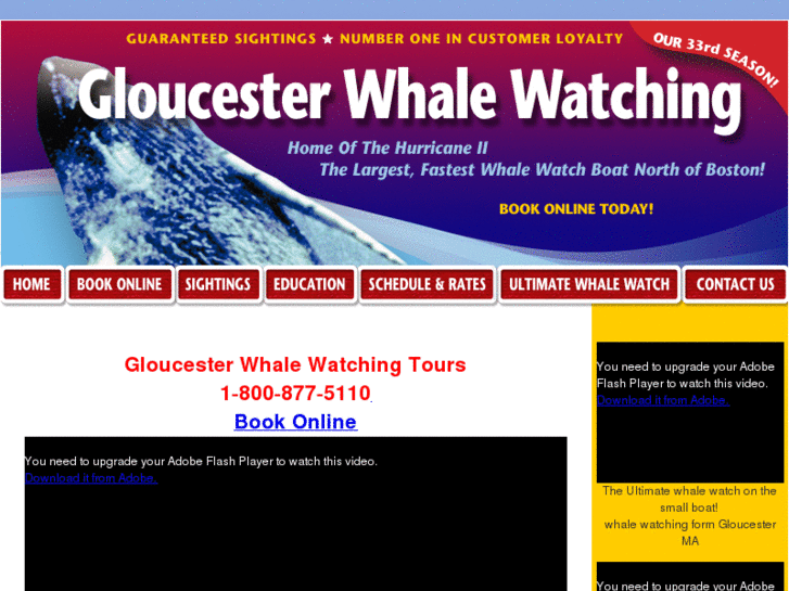 www.gloucesterwhalewatch.com