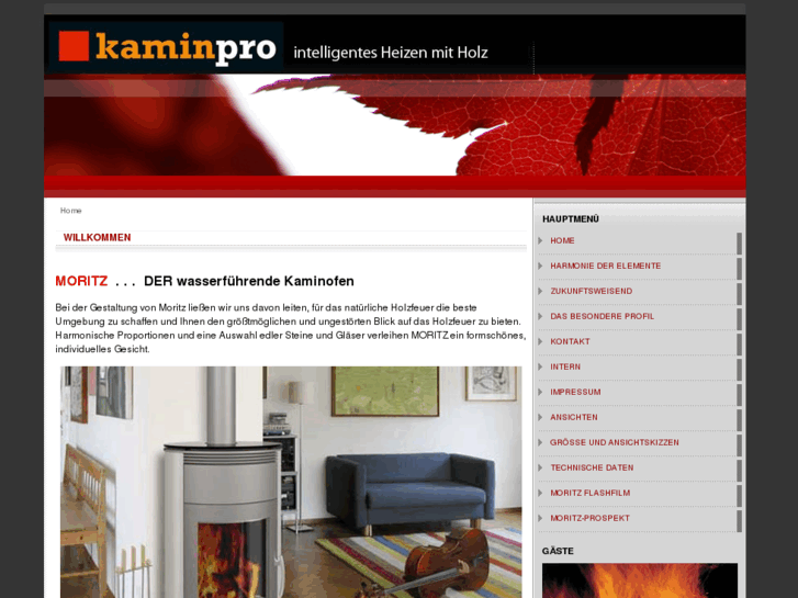 www.kaminpro.de