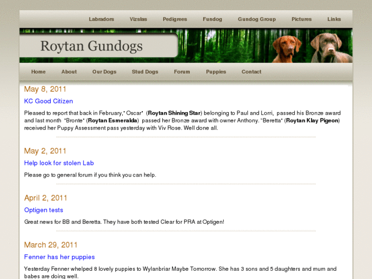 www.roytangundogs.com