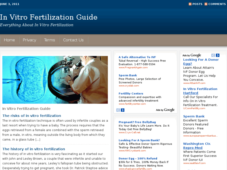 www.yourinvitrofertilizationguide.com