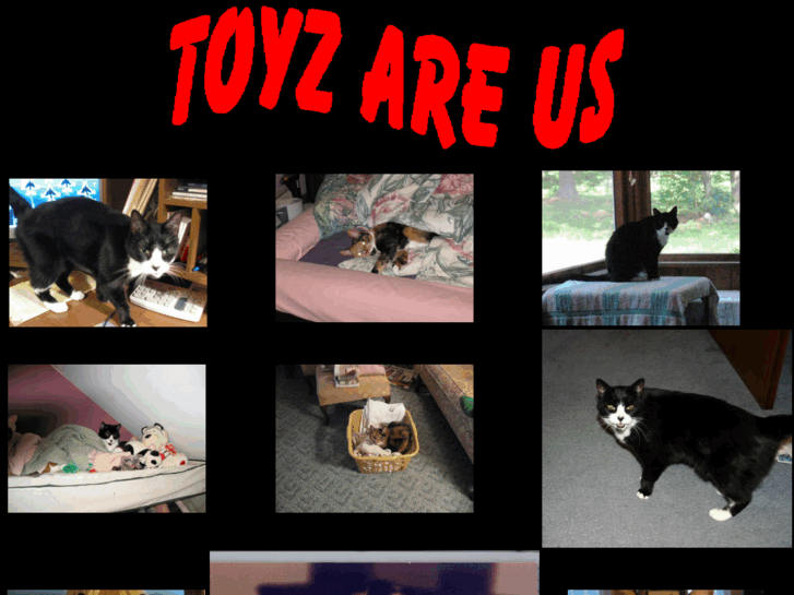 www.zonefive.org
