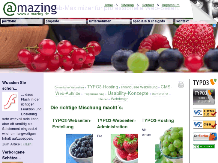 www.a-mazing.de