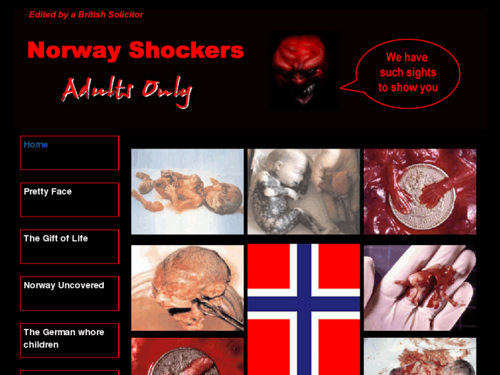 www.abortion-norway.com