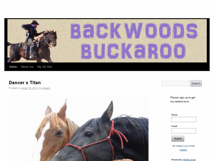 www.backwoodsbuckaroo.com