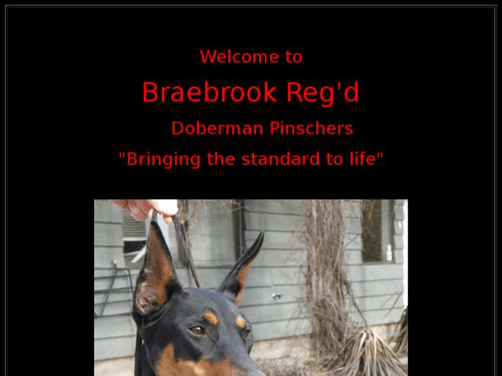 www.braebrook.com