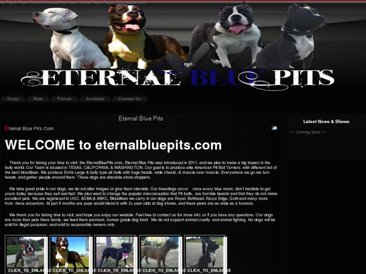 www.eternalbluepits.com