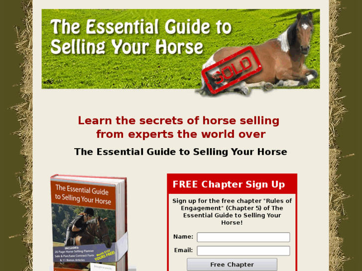 www.horse-selling-guide.com