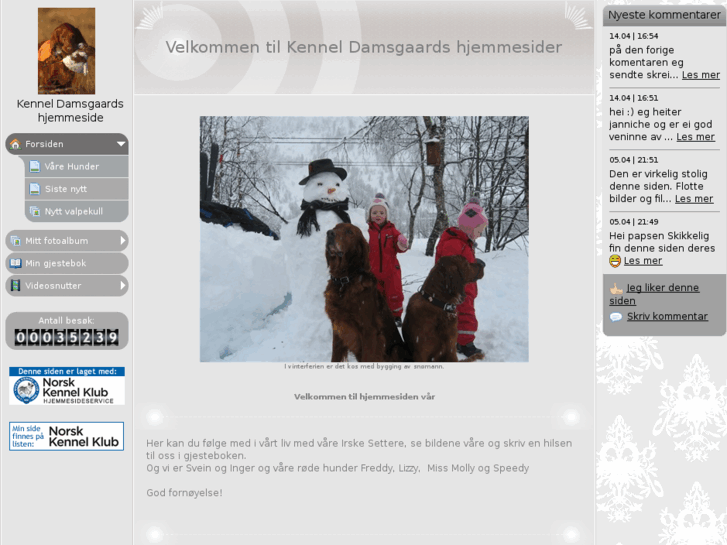 www.kennel-damsgaard.com