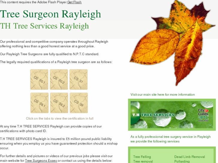 www.treesurgeon-rayleigh.co.uk