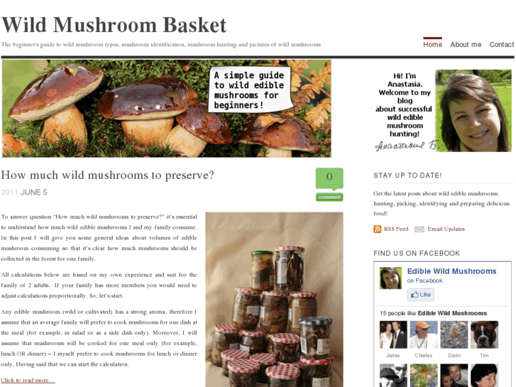 www.wildmushroombasket.com