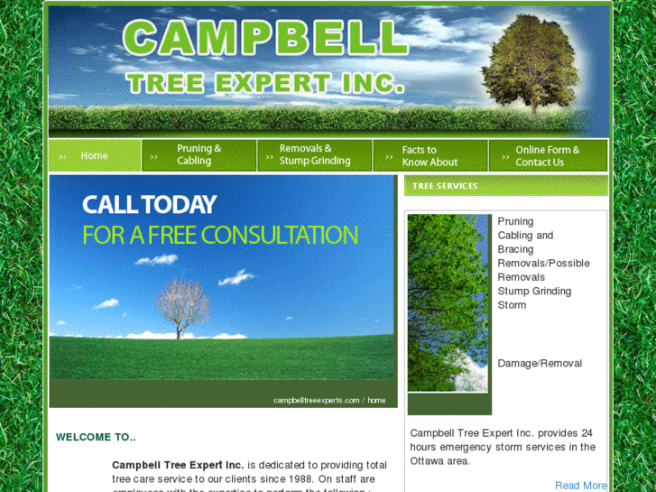 www.campbelltreeexperts.com