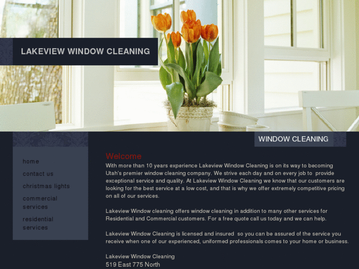 www.lakeviewindowcleaning.com