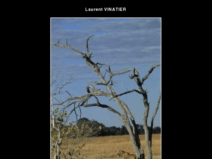 www.laurentvinatier.com