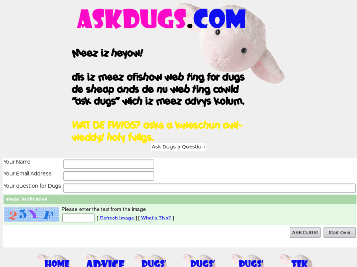 www.askdugs.com