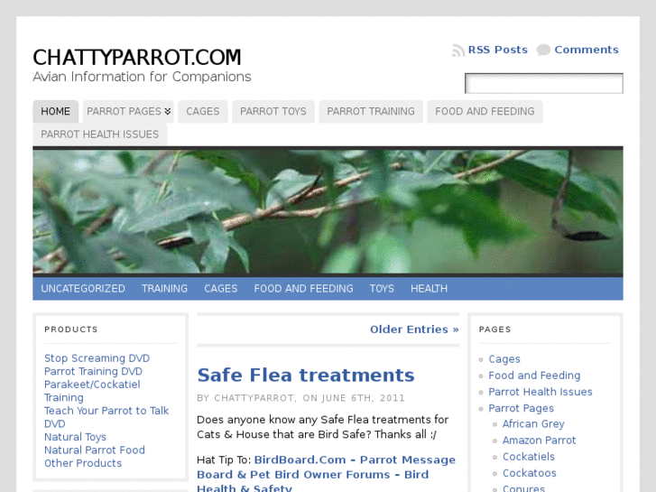 www.chattyparrot.com