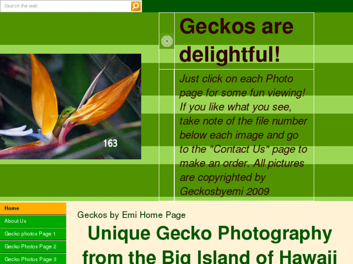 www.geckosbyemi.com