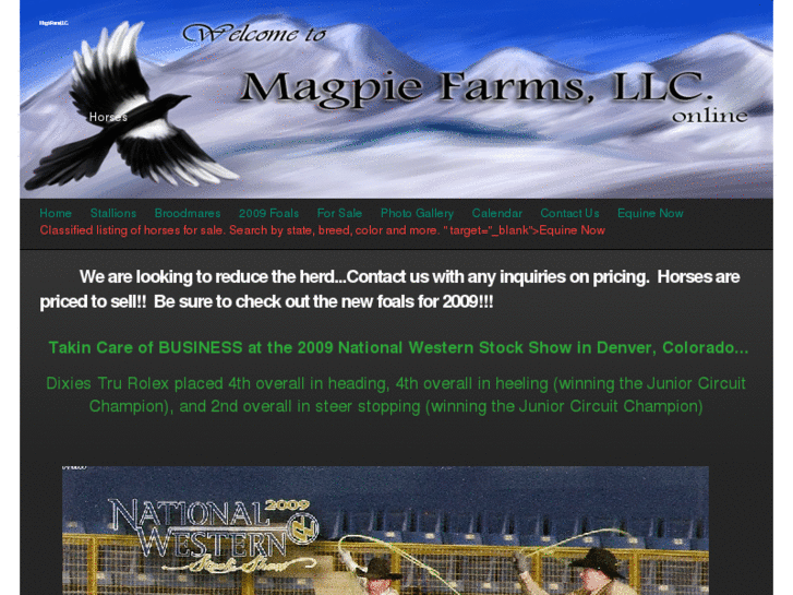 www.magpiefarms.com