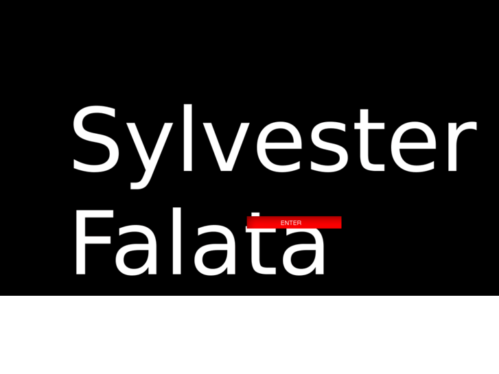 www.sylvesterfalata.com