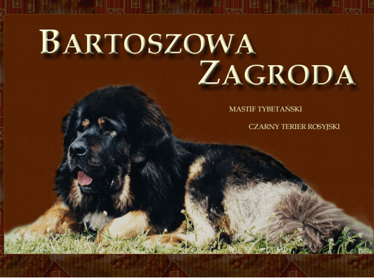 www.bartoszowazagroda.com