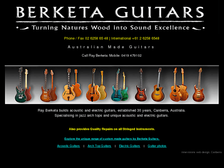 www.berketaguitars.com