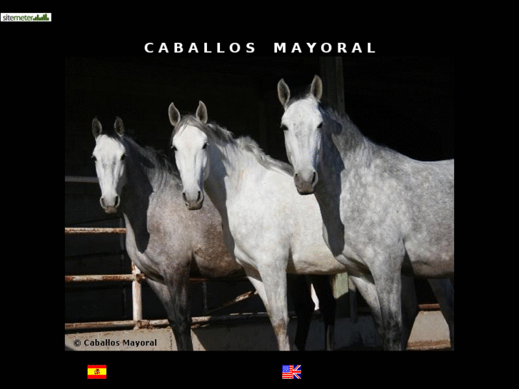 www.caballosmayoral.com