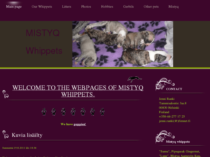 www.mistyqwhippets.com