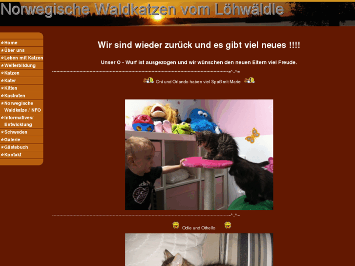 www.norwegischewaldkatze.com