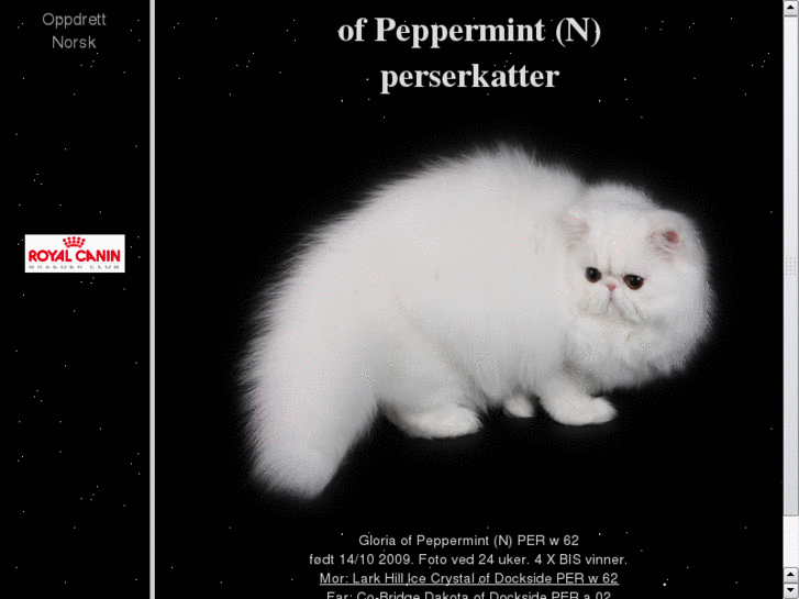 www.peppermintpersians.net