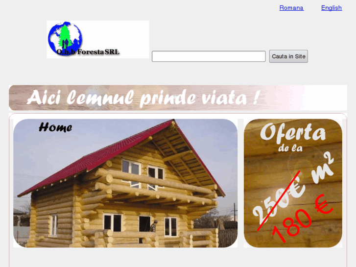 www.cabane-lemn.com