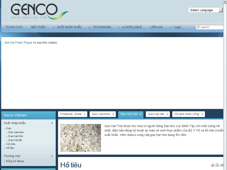 www.genco.vn