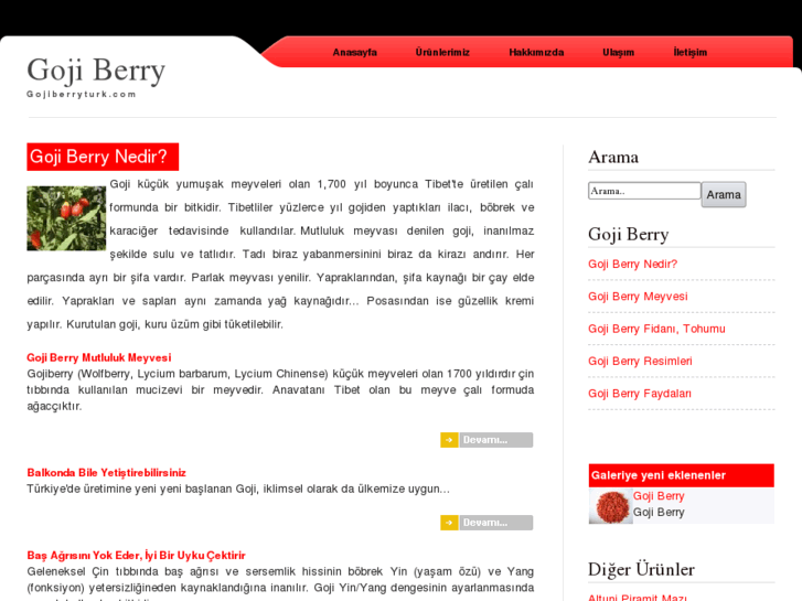 www.gojiberryturk.com