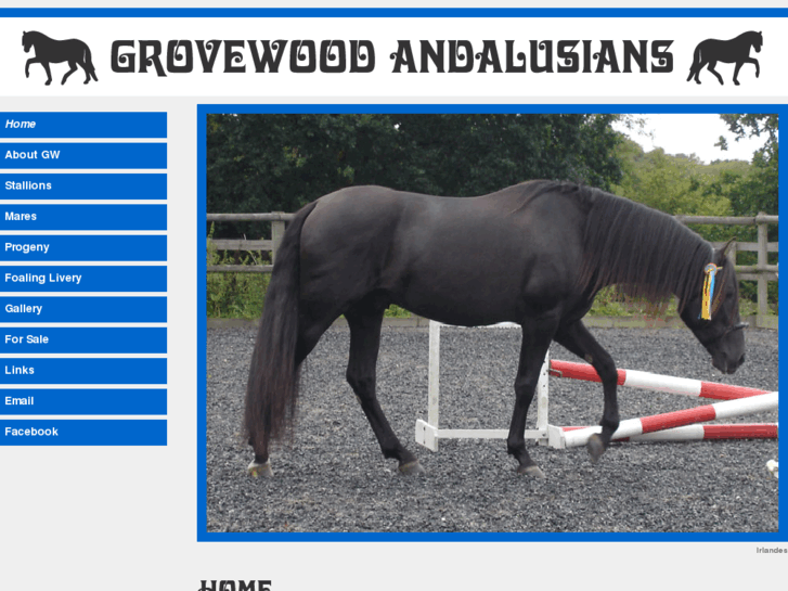 www.grovewoodandalusians.com