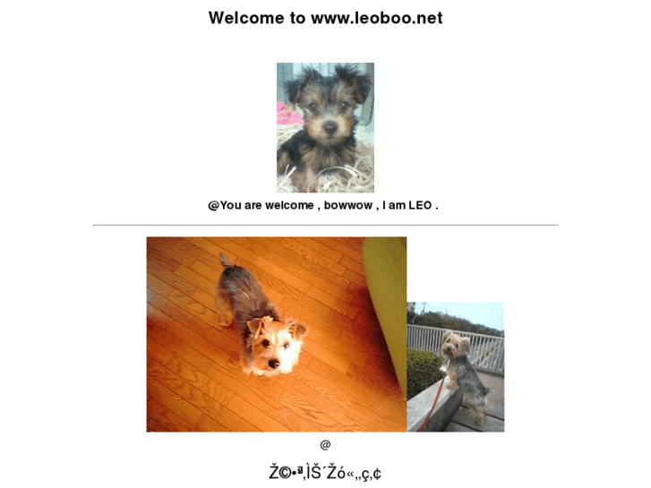 www.leoboo.net