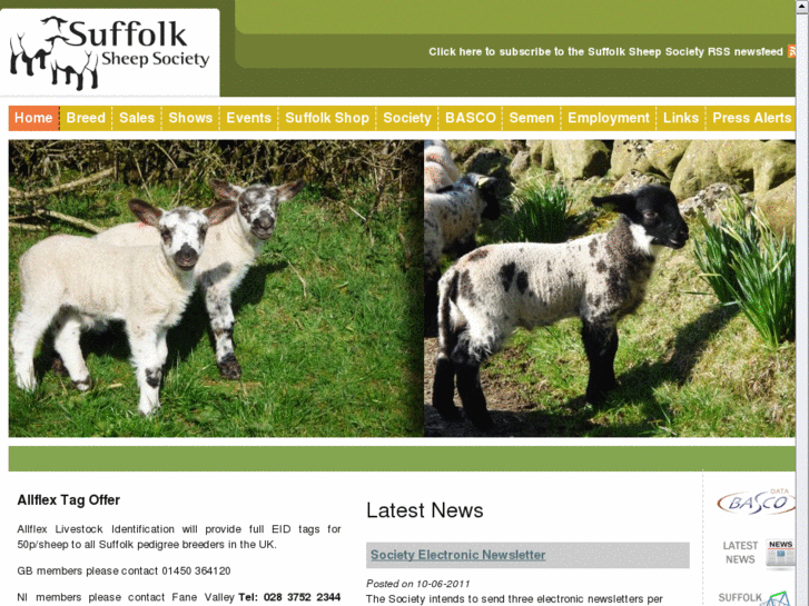 www.suffolksheep.org