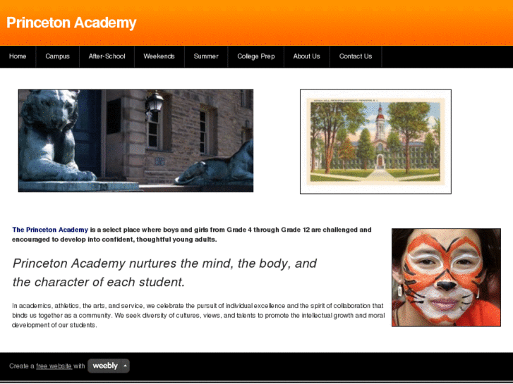 www.theprincetonacademy.info