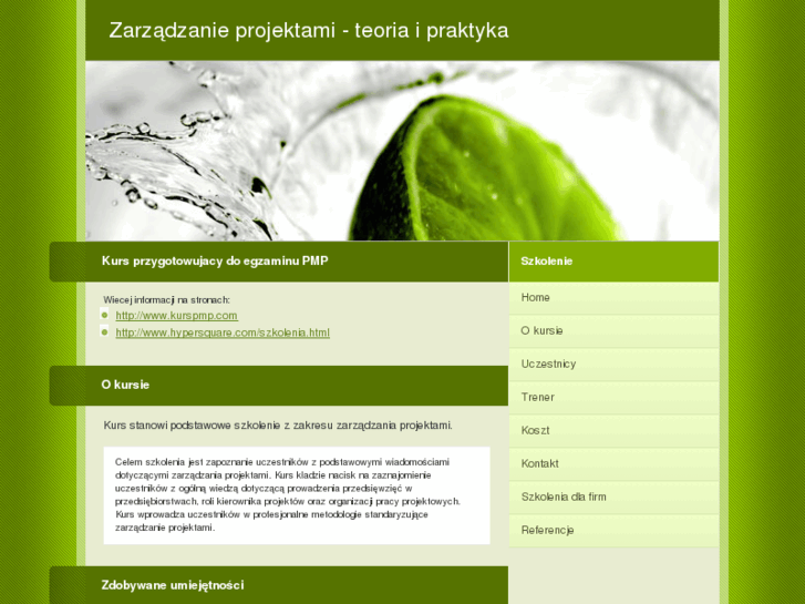 www.zarzadzanieprojektamikurs.com