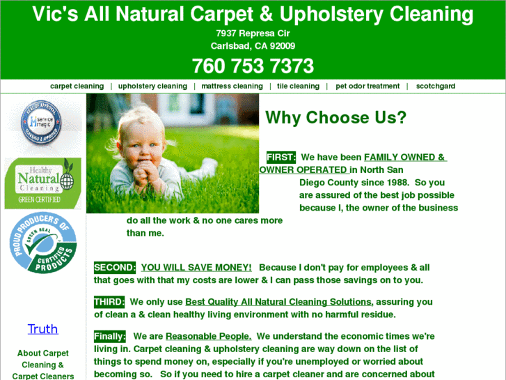 www.allnaturalhealthycarpetcleaning.com