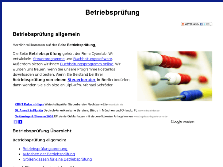 www.betriebspruefung.info