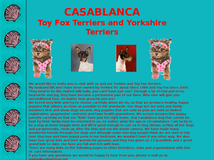 www.casablanca-tfts-yorkies.com