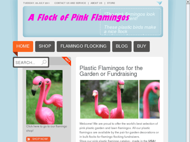 www.flockofpinkflamingos.com