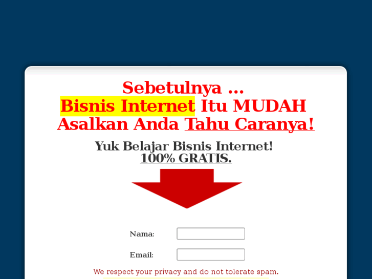 www.internetbisnis.net