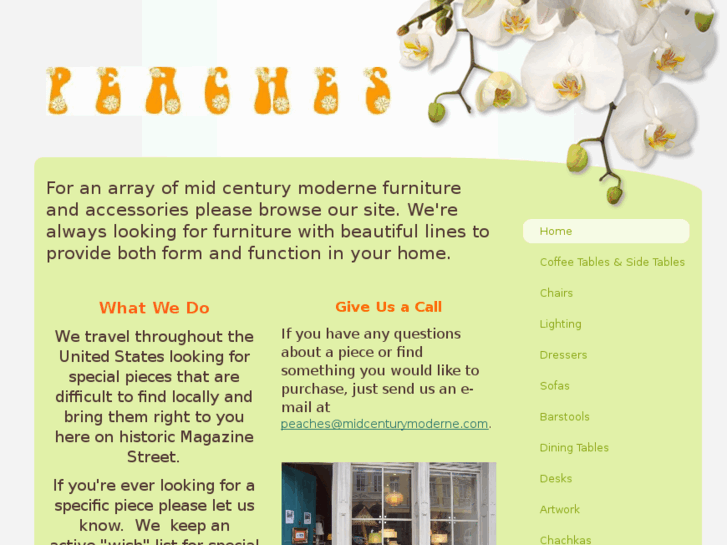 www.midcenturymoderne.com
