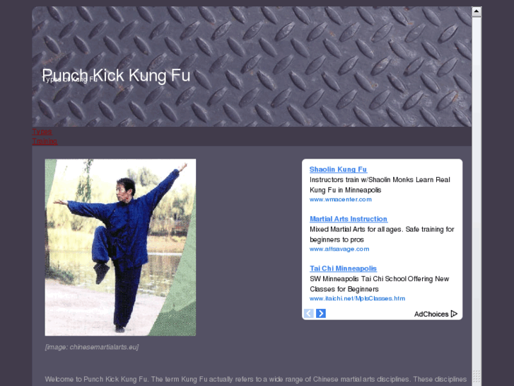 www.punchkickkungfu.com