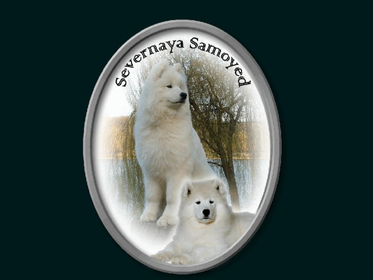 www.severnaya-samoyed.hu