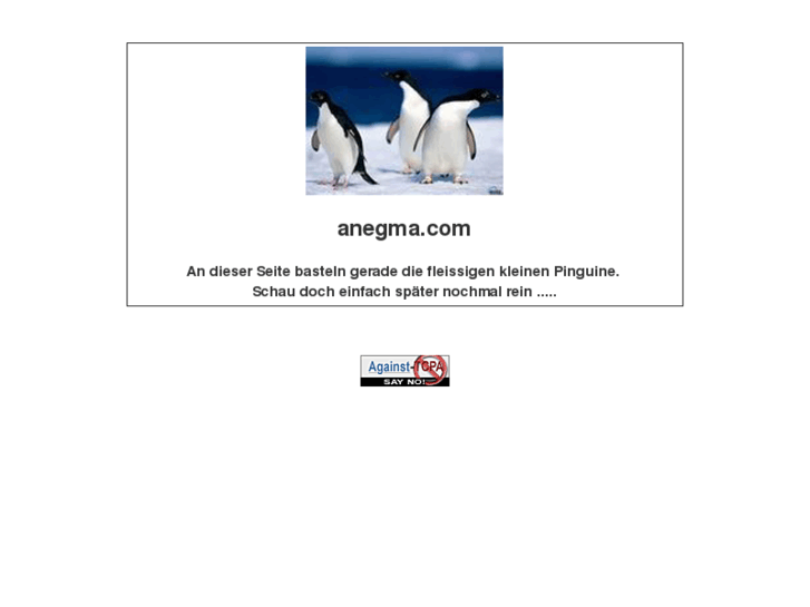 www.anegma.com