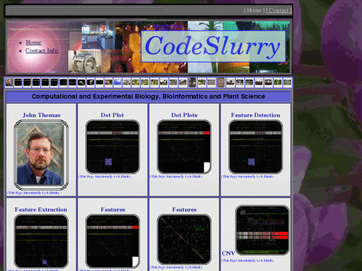 www.codeslurry.com