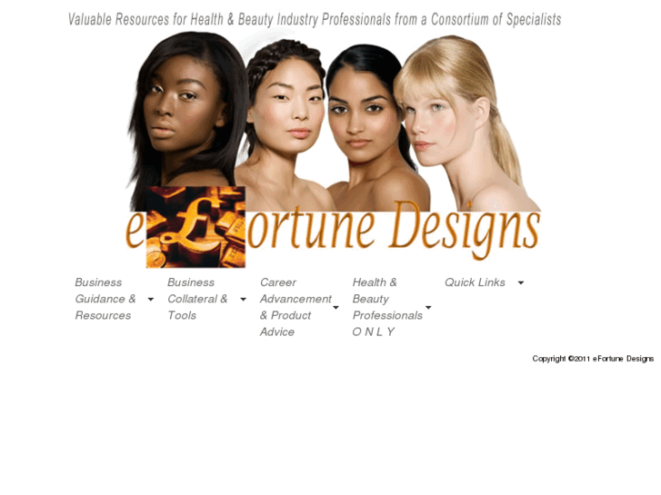 www.efortunedesigns.com